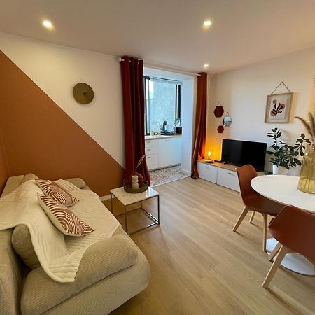 Nid Douillet Proche Capitole Apartment Тулуза Екстериор снимка