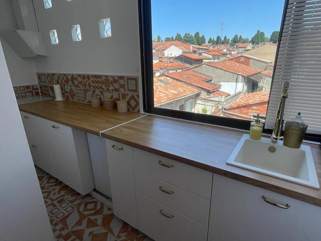Nid Douillet Proche Capitole Apartment Тулуза Екстериор снимка